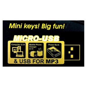 اسباب بازی آموزشی ارگ بیگفان BIGFUN مدل 630A2 -اسباب بازی